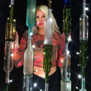 Sheer Y2K Retro Long Sleeve Crop